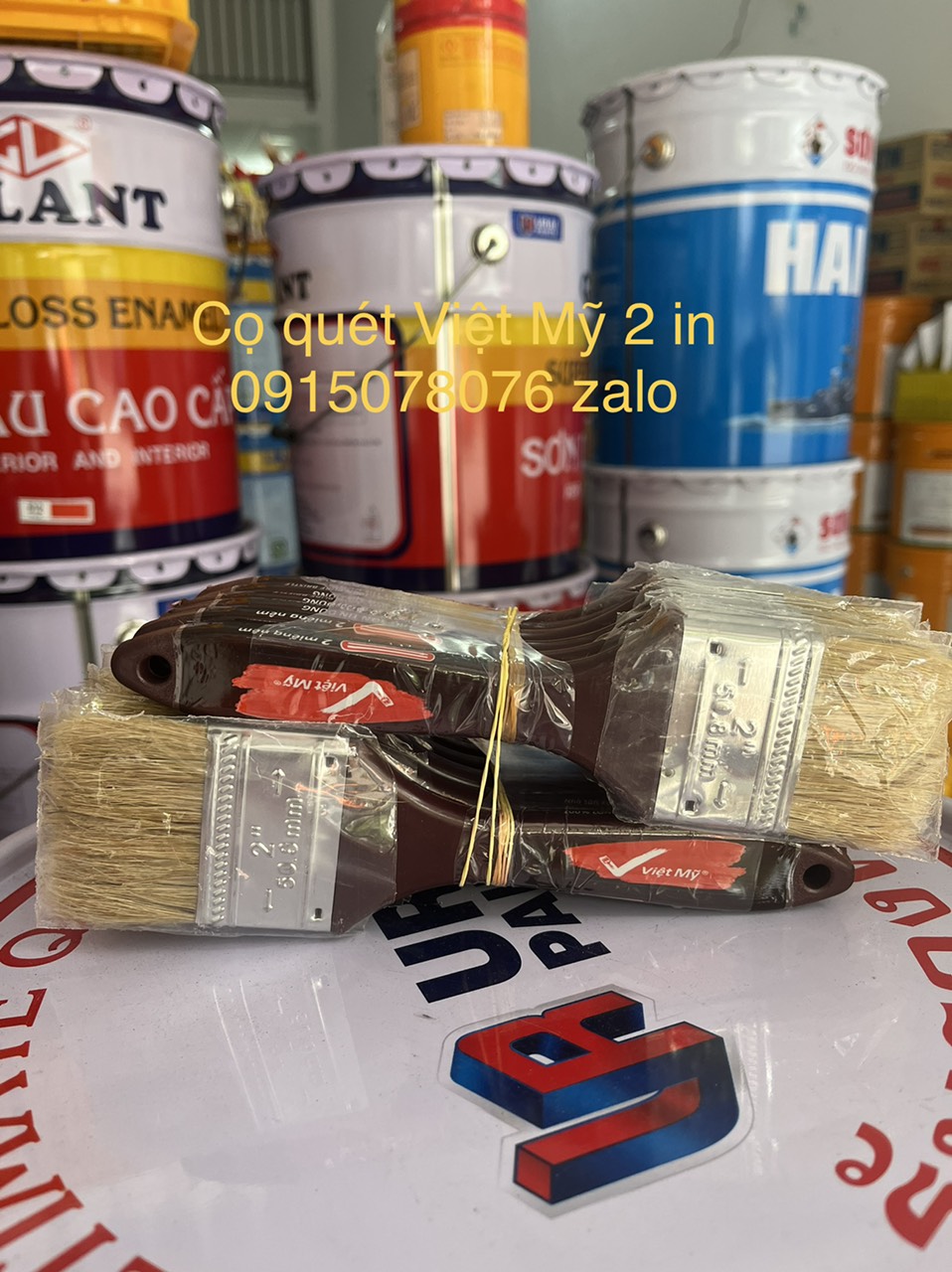 Cọ Việt Mỹ 2 in