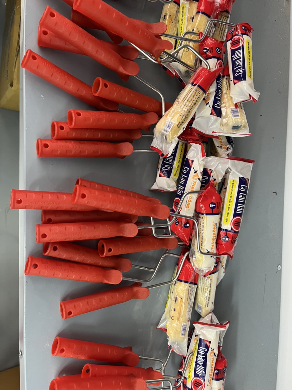 Ru lô sơn dầu Đông Nam Á 10 cm