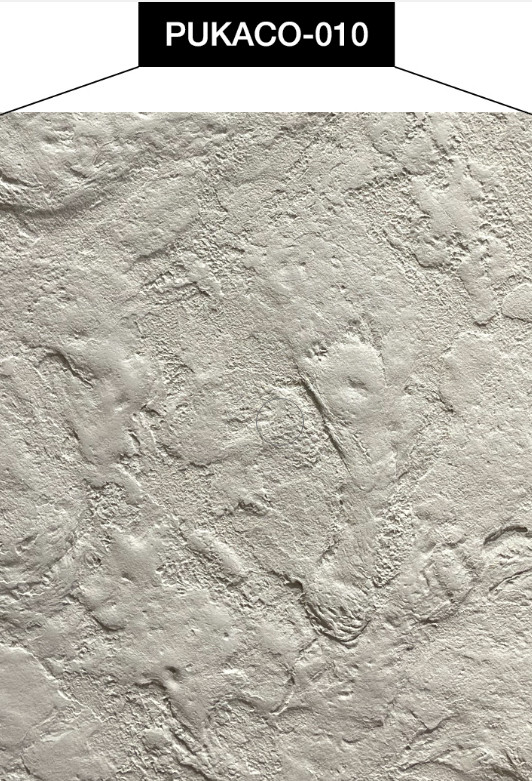 Sơn hiệu ứng bê tông Pukaco – 010