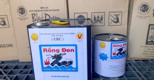 Sơn chống thấm Rồng Đen ở gần tôi