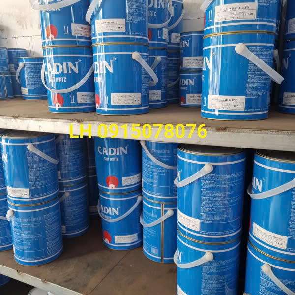 Lý Do Nên Mua Sơn Dầu Cadin Thay Vì Thương Hiệu Khác Lý Do Nên Mua Sơn Dầu Cadin Thay Vì Thương Hiệu Khác