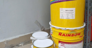 Mua sơn Rainbow 1531 ở đâu có CO CQ