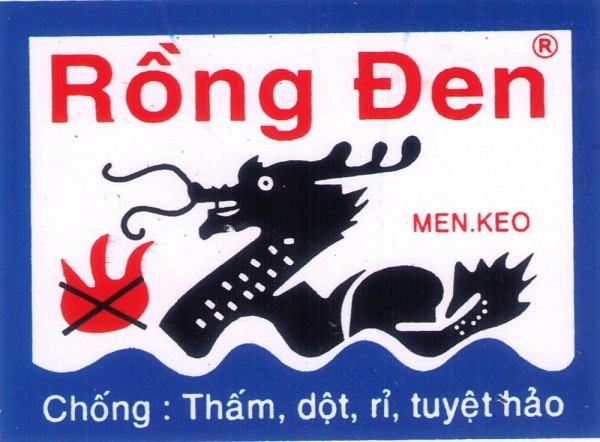 Hình ảnh Đại lý sơn chống thấm Rồng Đen tại Quy Nhơn