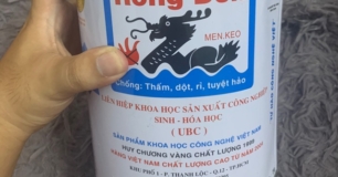 Công ty bán sơn chống thấm Rồng Đen uy tín