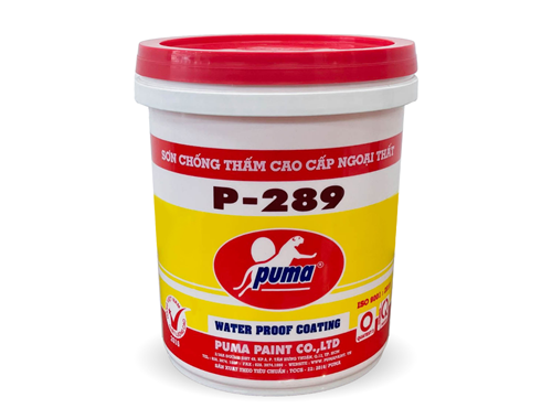 SƠN CHỐNG THẤM CAO CẤP NGOẠI THẤT P-289 BỀ MẶT MỜ 1