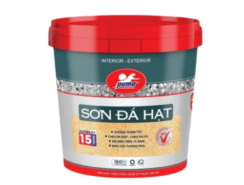 SƠN ĐÁ HẠT 1