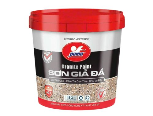 SƠN GIẢ ĐÁ 1