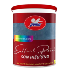 SƠN HIỆU ỨNG