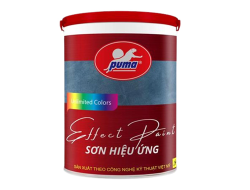 SƠN HIỆU ỨNG 1