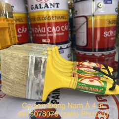 Cọ Đông Nam Á 4 in