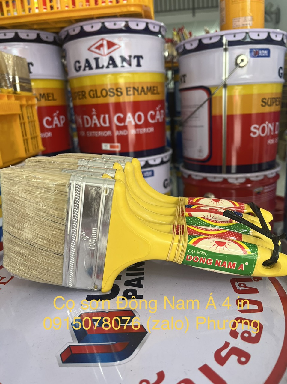 Cọ Đông Nam Á 4 in