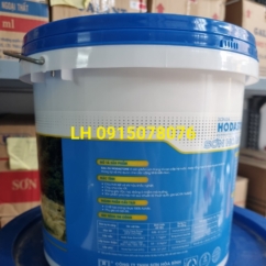 Ru lô sơn dầu Đông Nam Á 10 cm
